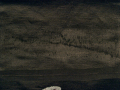 大正アンティーク 黒繻子に手刺繍の鷹柄 名古屋帯のダメージ部分の拡大